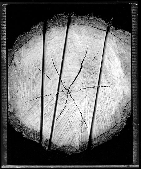 Wood log in Pont-Aven 02